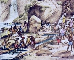 O ciclo do ouro foi um período da história econômica brasileira.