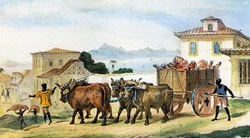 Gravura do pintor francês Jean-Baptiste Debret, intitulada Transport de viande de boucherie (Transporte de carne para açougue), publicada em 1835 em sua obra Voyage Pittoresque et Historique au Brésil. Gravura do pintor francês Jean-Baptiste Debret, intitulada Transport de viande de boucherie (Transporte de carne para açougue), publicada em 1835 em sua obra Voyage Pittoresque et Historique au Brésil.